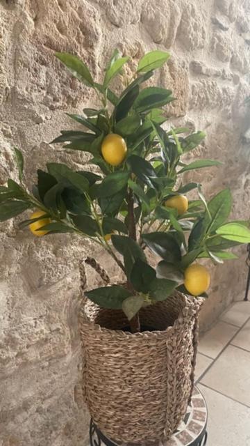 L'Isle Apartment Beaucaire  Exterior photo